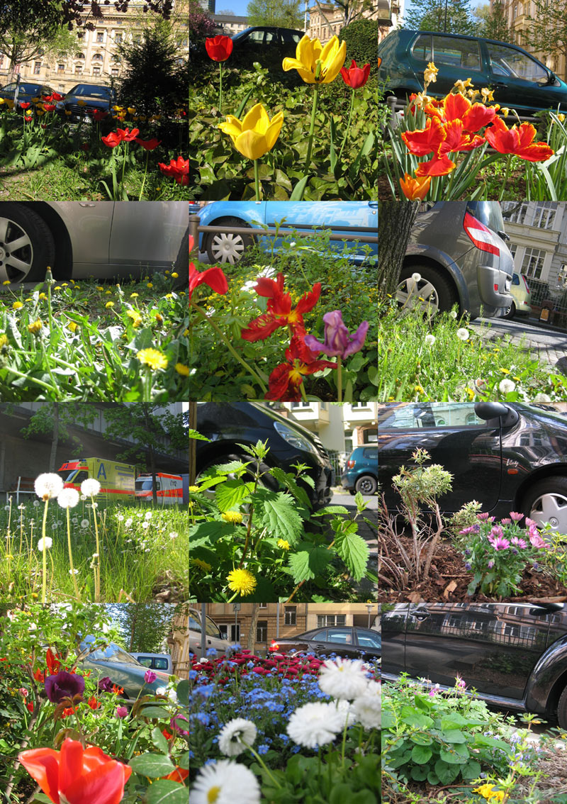 Blumenparken . 2007.04