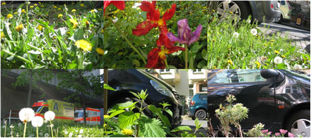 Blumenparken . 2007.04