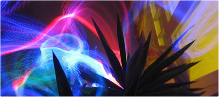 lightplant activity . lightpaint . 2010.11