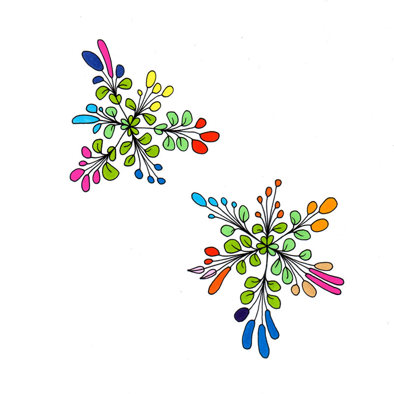 Wendeblumen . Wende die Blumen im Kreis . 2008.10 