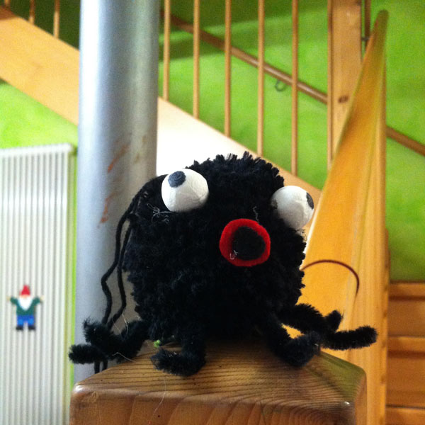 Schwarze Krake / black octopus . 2013.11 