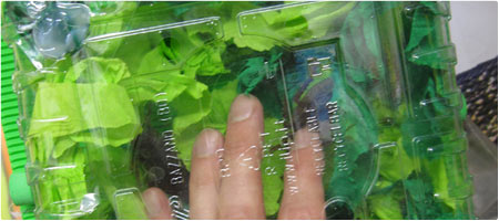 Kakerlakenbox / cockroachbox 2014.02 