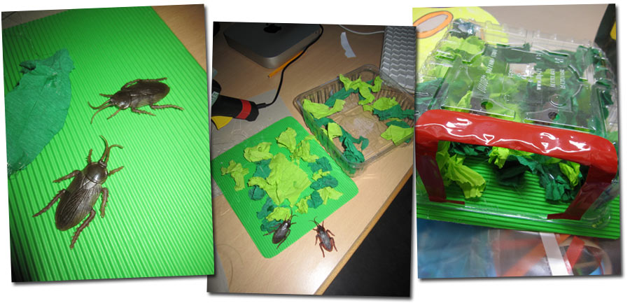 Kakerlakenbox / cockroachbox 2014.02 