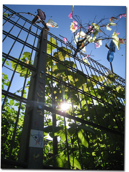 Durchblick ...das kunterbunte Zaunprojekt auf dem Gr&auml;selberg Aufkleber / Sticker