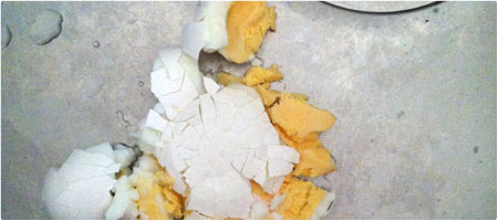 Eigelbweissschale . 2016.08 